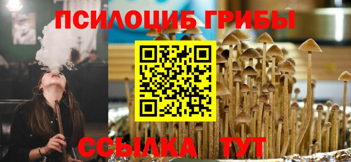 Галлюциногенные грибы MAGIC MUSHROOMS  Вход с VPN  Урус-Мартан 